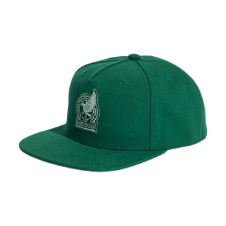 Adidas Mexico Football Federation Snapback Hat